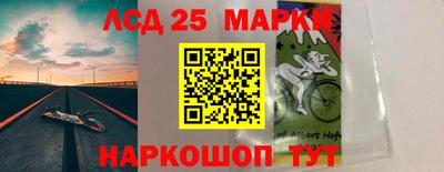 spice Камышлов