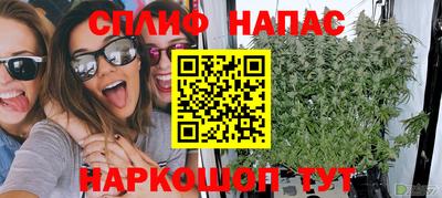 spice Камышлов