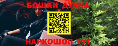 прущие грибы Канаш