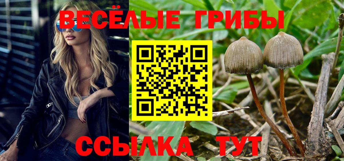 Псилоцибиновые грибы прущие грибы  Вход с VPN  Коряжма 