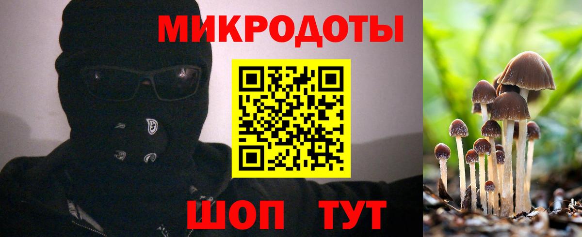 Галлюциногенные грибы GOLDEN TEACHER Коряжма